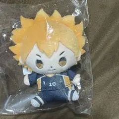 ハイキュー ぬいぐるみ 日向翔陽 マスコット　もっちび　アニメイト　フェア