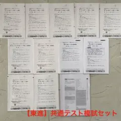 【東進】共通テスト模試・体験模試セット 英語 数学 国語 情報Ⅰ 地理のサムネイル