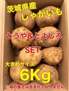 茨城県産 じゃがいも大きめサイズ とうや3Kg＆とよしろ3Kg 計6Kgのサムネイル