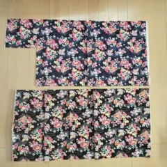 Item thumbnail for item a8e2f878-3969-4209-8261-bbcd361a985c