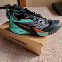 Item thumbnail for item 0ae013e0-cf9c-4217-b5a2-009d7c6deee2