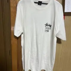 Stussy Lサイズ Tシャツ