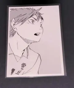 ハイキュー!! ハイキュー クロニクル 日向翔陽 10th フォトカード