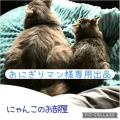 Item thumbnail for item c18733ba-d72d-4e2c-9840-3bb04099f2f5