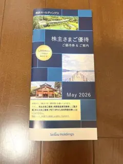 西武ホールディングス株主優待券（千株） 西武ホールディングス 株主優待券×2冊 （1000株以上） 【公式通販】