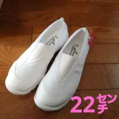 22㌢新品 瞬足 アキレス 上履きスクールシューズ