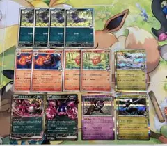 ポケモンカード nのゾロアークex デッキパーツ