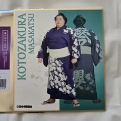 Item thumbnail for item e673d780-fd3a-4241-aff6-0cff4c5a08f5