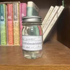 2025年最新】液浸標本の人気アイテム - メルカリ