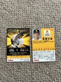 プロ野球チップスカード 牧原大成
