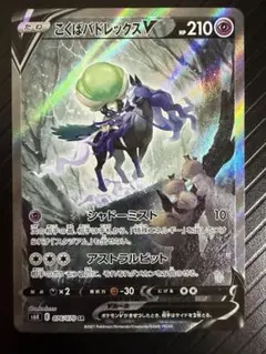 2026年最新】こくばバドレックスv saの人気アイテム - メルカリ