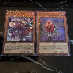 2026年最新】種別：シングルカード 複数 遊戯王OCG デュエル