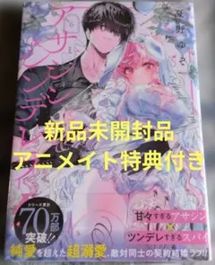 アサシン&シンデレラ(6)