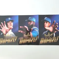 北海道日本ハムファイターズ DOMIれ！ステッカー 3枚セット