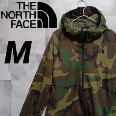 ノースフェイス Novelty Swallowtail Hoodie M