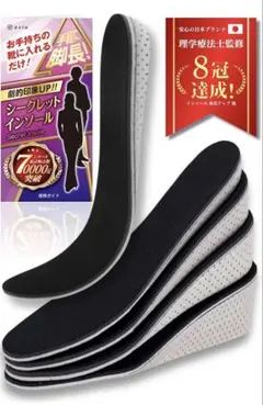 シークレットインソール 3センチ インソール 身長アップ eziu