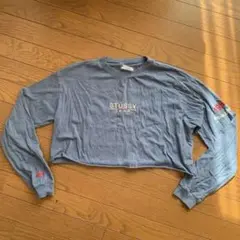 STUSSY 1980 WORLD TRIBE 長袖クロップドTシャツ サイズ8