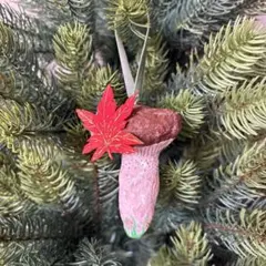 キノコと紅葉のクリスマスツリーオーナメントのサムネイル