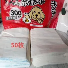 Item thumbnail for item e1ab9208-58d7-424f-be95-08e2e1d564d9