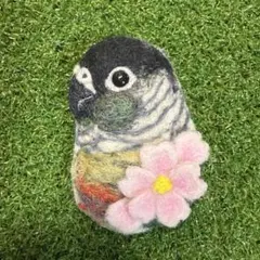羊毛フェルト　可愛いウロコインコ桜ブローチ　鳥 ハンドメイド