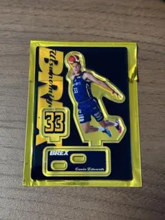 宇都宮ブレックス 2025-26 ギャビン・エドワーズ アクリルスタンド