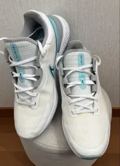 28.0㎝　Nike Infinity ゴルフシューズ