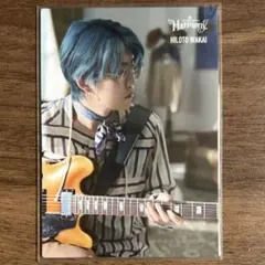 ミセス 若井滉斗 Harmony フォトカード 039