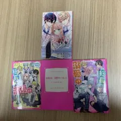 総長さま、溺愛中につき。 3冊セット　1.3.4 漫画