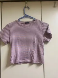 Tip Top ボーダー ショート丈 Tシャツ