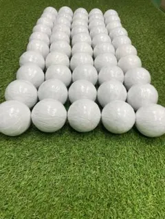 Item thumbnail for item 81ffa2c7-2652-407d-9957-d46dd963f264