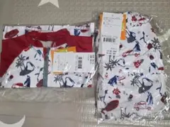 Item thumbnail for item f55a4057-039e-47f3-b5d7-0ec5fe8da75d