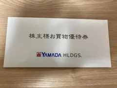 YAMADA HLDGS. お買物優待券 10枚