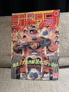 週刊少年ジャンプ 1991年31号 鳥山明 ドラゴンボール ポスター付き