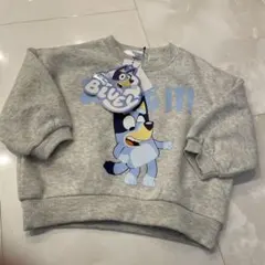 Item thumbnail for item 0cd5dbf2-ce71-46da-befd-94dc0430de77