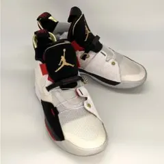 美品　JORDAN BRAND AIR JORDAN XXXIII PF