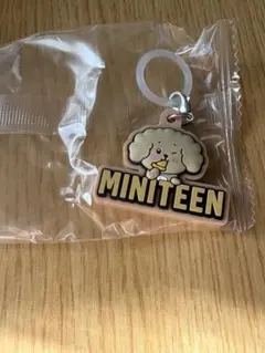 SEVENTEEN MINITEEN めじるしアクセサリー ドギョム DK