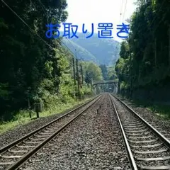 まき0803様専用♥LL~4L対応♡モモンガドルマン♡