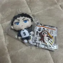 赤葦京治　マスコット　キューピー