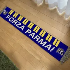 『新品タグ付』パルマ　中田英寿(メーカー＝Champion、JOYパルマラット) 新品タグ付』パルマ中田英寿(メーカー＝Champion、JOYパルマラット)