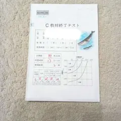 2026年最新】公文国語cの人気アイテム - メルカリ