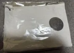 スターバックス 2026 福袋　ボトルサコッシュ