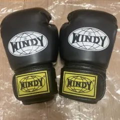 WINDY Mサイズのサムネイル