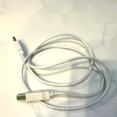 【美品】家電量販店購入 プリンターケーブル