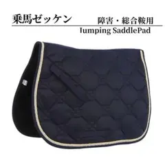 Item thumbnail for item d844c820-2c88-490e-acfe-38e40527e946