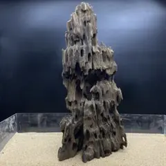 アクアテラリウム 水槽流木。水生植 物 水槽用流木 アクアリウム 盆栽