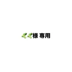 専用出品