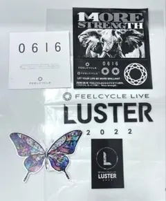 FEELCYCLE ステッカーセット LUSTER 2022 フィールサイクル