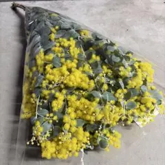 green様 リクエスト 2点 まとめ商品