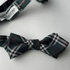 Item thumbnail for item 88b39aa5-8e81-4343-a67c-290f2aa8261e