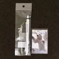 天王寺動物園 ホウちゃん グッズ 国際ホッキョクグマの日 セット